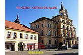 Пансионат Netolice Чехия