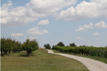 Slovensko Penzión Kolta, Exteriér