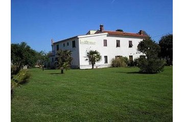 Horvaatia Privát Galižana, Eksterjöör