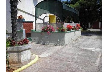 Horvaatia Privát Galižana, Eksterjöör