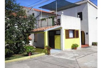 Horvaatia Privát Galižana, Eksterjöör