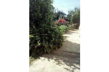 Magyarország Privát Tiszafüred, Exteriőr