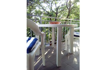 Чорногорія Byt Risan, Екстер'єр