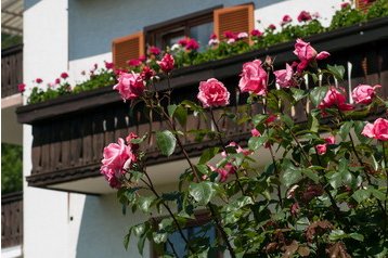 Österreich Penzión Sattendorf, Exterieur