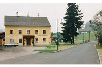 Пансионат Mürzzuschlag 2