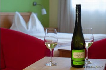 Австрия Hotel Mautern, Экстерьер