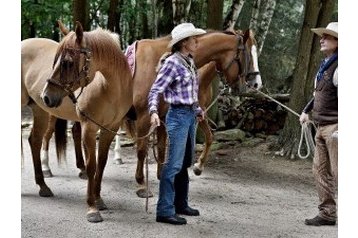 Viešbutis Boskovice 7