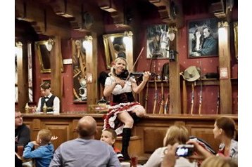 Viešbutis Boskovice 8