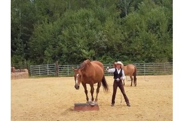 Viešbutis Boskovice 11