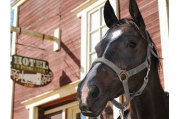 Viešbutis Boskovice 13