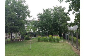 Ungari Privát Bogács, Eksterjöör