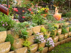 Garten vorne