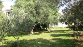 Pension de famille Bibinje 2