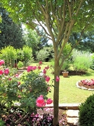Apartamento Pula 9