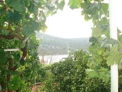 Pension de famille Vinišće 2