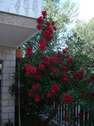 Pension de famille Vinišće 2