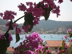 Pension de famille Vinišće 2