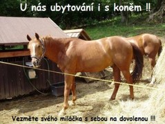 Private Unterkunft Sedloňov 6