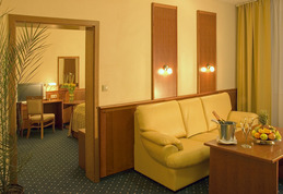 Hotel Plzeň 5