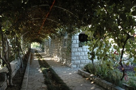 Private Unterkunft Kumbor 3