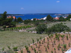 Apartamento Barbat 2