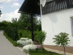 Apartmán Rakovica 4