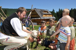 Pensione Hruštín 24