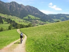 Gosau has wonderful cycling trails from the door