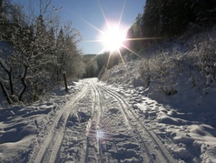 Vikendica Chvojnica 2
