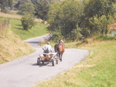 Hrińová pod Poľanou v lete