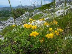 Hotel Starigrad Paklenica 21