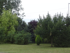 Alojamiento en casa particular Szeged 2