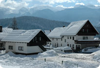 Pension de famille Stara Fužina 1