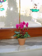 Appartement Zalakaros 1