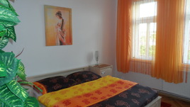 Apartment Prague / Praha 1