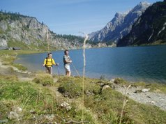 Sommertraum