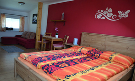 Apartament Sklené Teplice 1