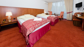 Hotel Brno 1