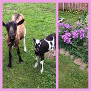 Privaat Hrabušice 1