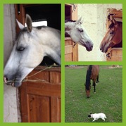 Privaat Hrabušice 1