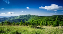 Ferienhaus Teplička 5