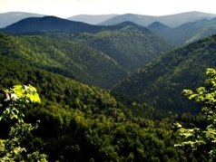 Ferienhaus Teplička 5