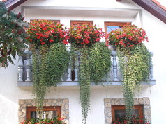 Hotel Drežnik Grad 1