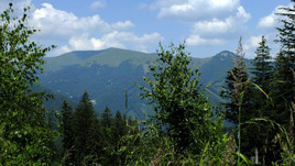 Velka Fatra (Polkanova)