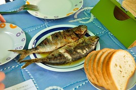 Family pension Povlja 1