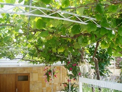 Pensiune familială Karin Gornji 2