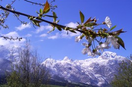 Alloggio presso privati Abtenau 5