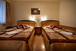 Hotel Wieliczka 1