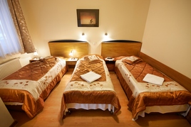 Hotel Wieliczka 1