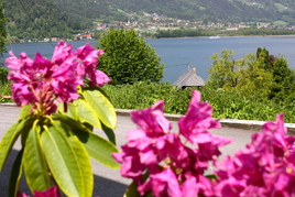 Apartmán Ossiach 1